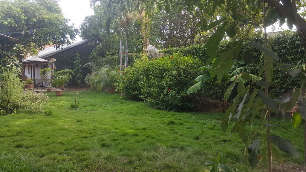 Hostal El Jardin Leon Exterior photo